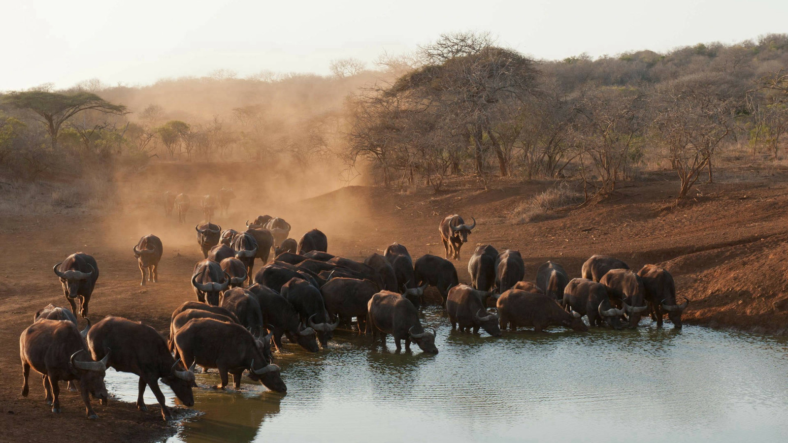 MASOKO TOURS & TRAVEL AGENCY